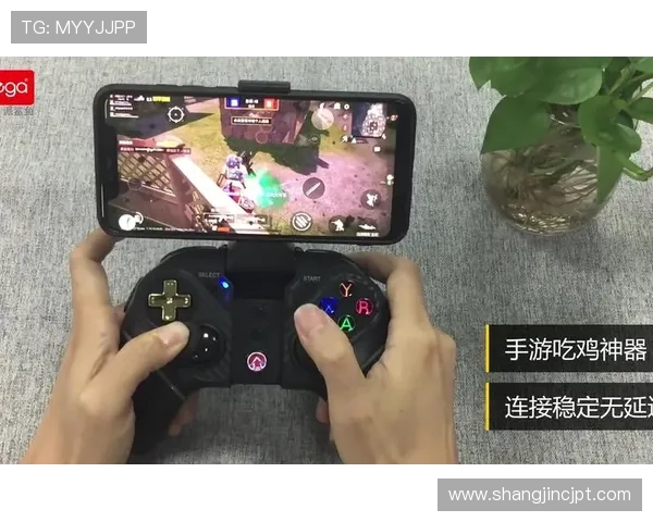 PG娱乐在线登录入口全新升级，提供多样化游戏选择与快速便捷的账号登录流程